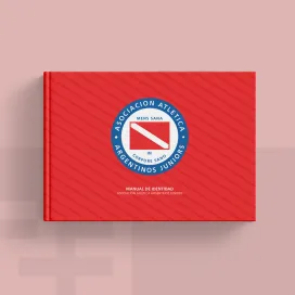 Argentinos Juniors 2013